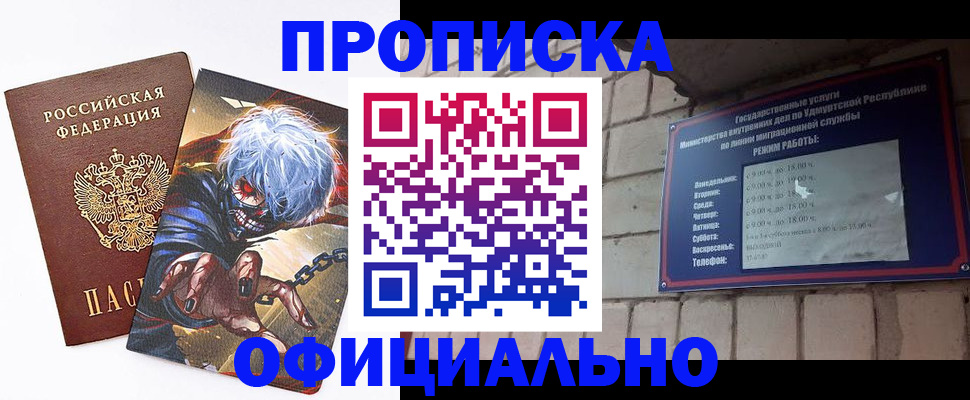 прописка для школы в Дмитрове